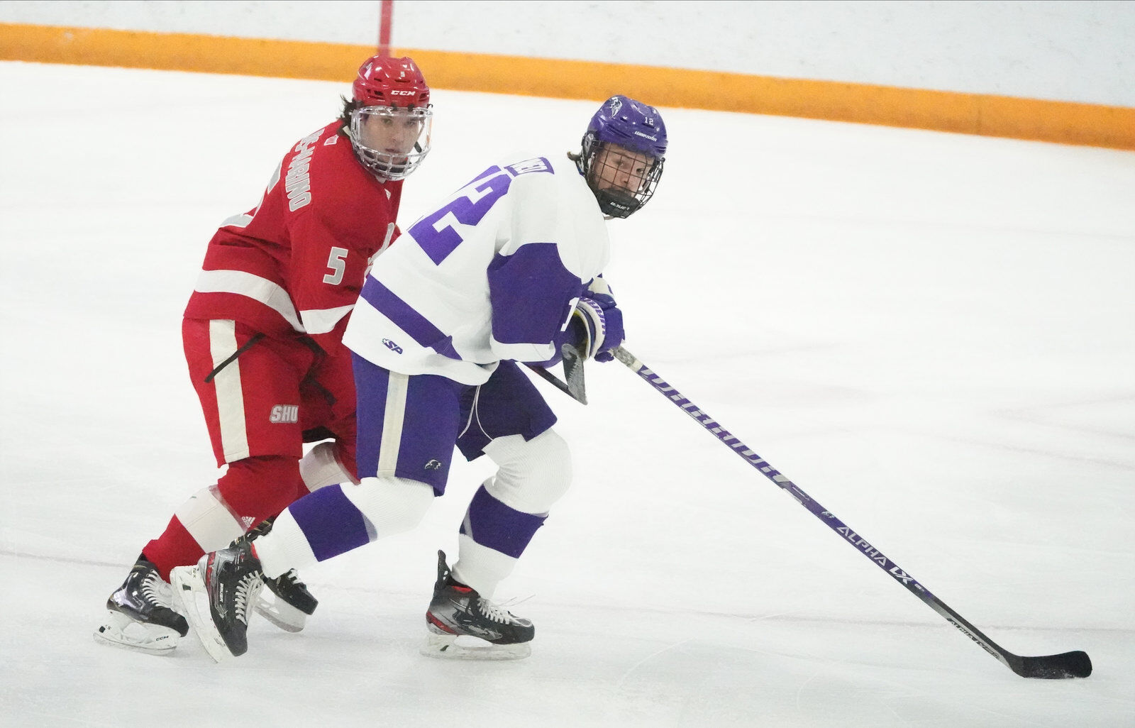 Niagara hockey faces Sacred Heart in an AHA game